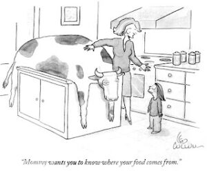 Lesson 1 - English Verbs